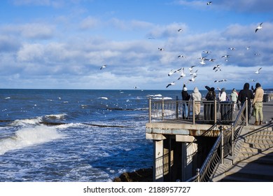 March, 2022, Zelenogradsk, Russia - View Of The Kranz Embankment On The Baltic Sea. People Feed The Seagull Birds