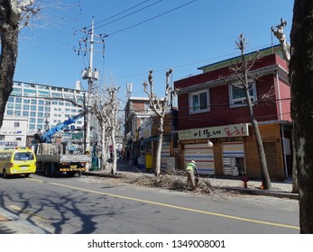 March 25, 2019, street trees pruning in Munnae-dong, South Korea.