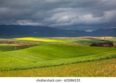 March In Morocco Is More Raining And Nature Is Beautiful Green And Fresh. Nearby Fes, Morocco