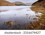 In March, a view south across Loch of the Lowes from Tibbie Shiels Inn. Dumfries and Galloway, Borders, Scotland