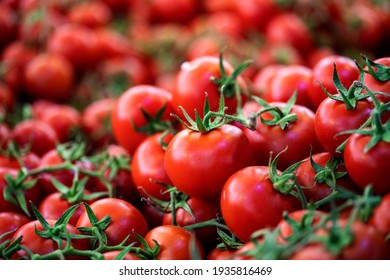 March-10-2021. Izmir, Turkey. Small red tomato.