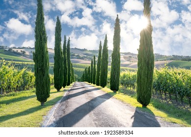 Marche countryside near Macerata, Marche region, Italy