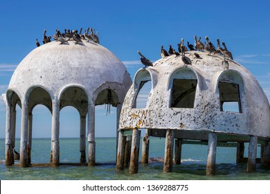 MARCO ISLAND, FLORIDA: 1 March 2019 - Wreck Of Famous Dome Houses In The Sea With Pelicans On Top