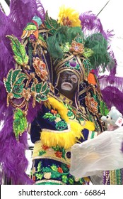 Mardi Gras Indian