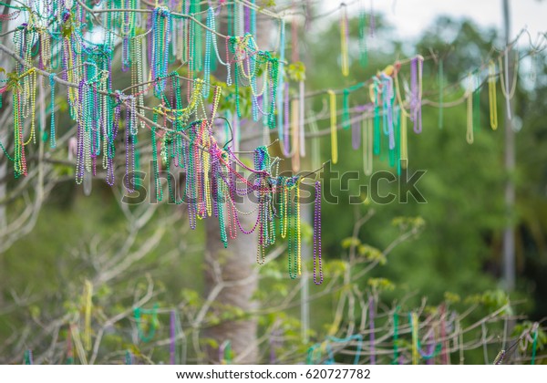 mardi gras tree in new orleans