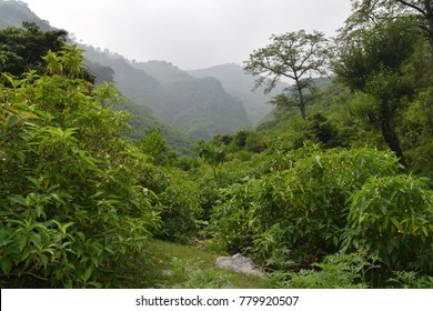 Margalla Hills National Park Pakistan