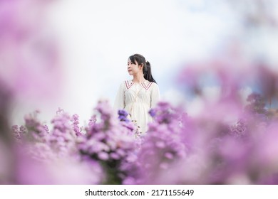 Margaret flower field and woman,Portrait of teenage girl in a garden of flowers, Young happy asian girl in Margaret Aster flowers field in garden at Chiang Mai