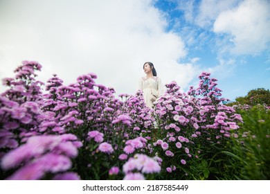 Margaret flower field and woman,Portrait of teenage girl in a garden of flowers, Young happy asian girl in Margaret Aster flowers field in garden at Chiang Mai