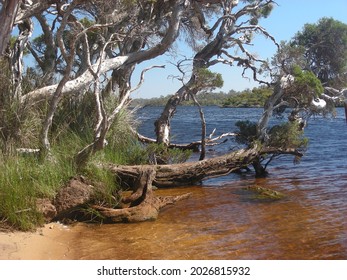 Margaret River, WA  Australia - 10 10 2016:
Margaret River South Of Perth.