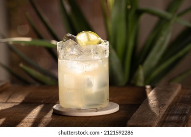 Margarita Cocktail on the rocks in modern tumbler glass with agave plant in the background