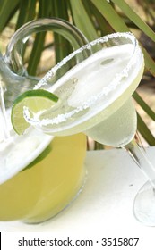 Margarita And Pitcher With Salt And Lime With Palm Tree In Background.