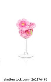 Marguerite Flowers In A Wine Glass On White Background