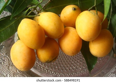Marian plum fruit.