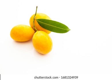 Orange Tree Leaves Images Stock Photos Vectors Shutterstock