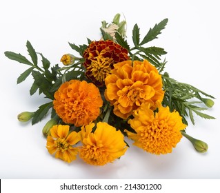 Marigold Bouquet