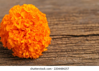 Marigold Flower For Dasara Festival, Indian Festival Flower Decoration.