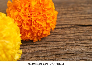 Marigold Flower For Dasara Festival, Indian Festival Flower Decoration.