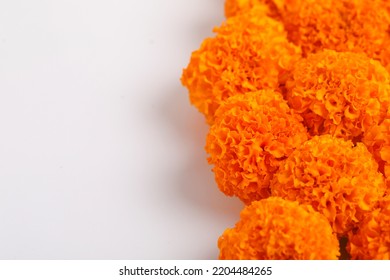 Marigold Flower For Dasara Festival, Indian Festival Flower Decoration.