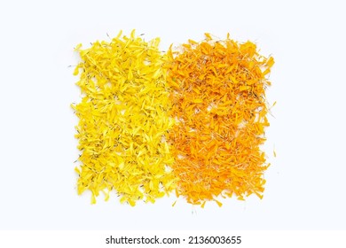 Marigold Flower Petals On White Background.