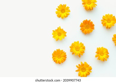 63 Marigold sketch Stock Photos, Images & Photography | Shutterstock