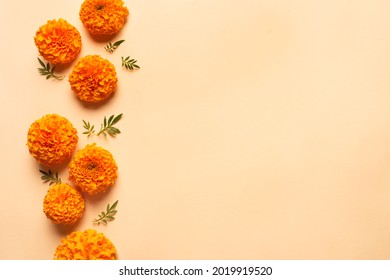 Marigold yellow flowers on orange pastel background, creative flat lay, copy space. Chinese mid autumn festival concept with marigolds.