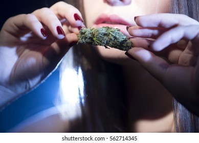 Marijuana bud - Shutterstock ID 562714345