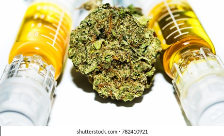 Marijuana Bud And Cannabis Oil 