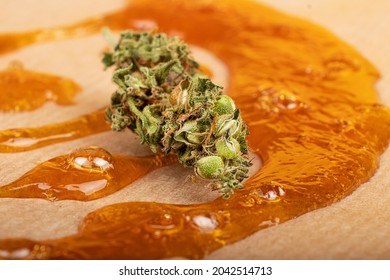 marijuana bud and strong extract of gold cannabis wax with high thc close up.