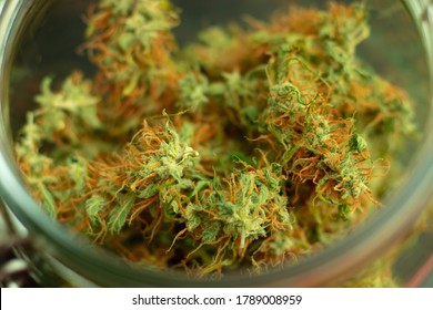 Marijuana buds macro photo. Cannabis is psychoactive drug used for medical or recreational purpose. Weed close-up with bokeh