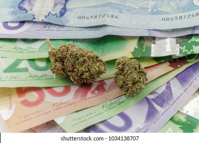 Marijuana Buds On Canadian Money