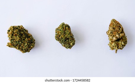 marijuana cannabis buds of various strains
