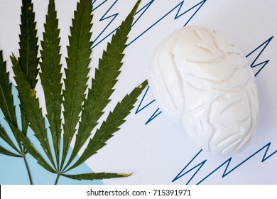 Marijuana Or Cannabis Seizures Concept Photo. Two Green Cannabis Leafs Lie Next To The Brain Figure In Broken Line Symbolizes The Increased Brain Seizure Activity On The Electroencephalogram (EEG)