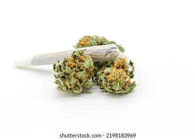 Marijuana Cigarette Or Joint Weed And Marijuana Buds Isolated On White Background