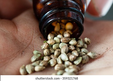 marijuana farmer holding his seed stock