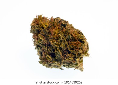 Marijuana flower bud, lsolated on a white background. Outdoor grown Mountain Girl cross. 