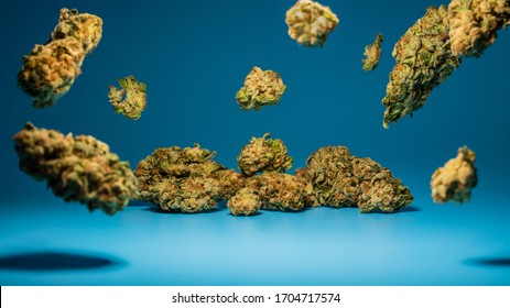 Marijuana Flower Buds On Blue Background