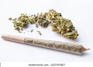 Marijuana flower and rolled joint on white background
