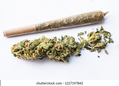 Marijuana flower and rolled joint on white background