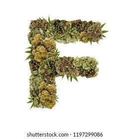 Marijuana Font. Isolated Weed Font. Letter F Symbol Made From Cannabis Buds. Custom Made, Hand Made Ganja Typography. 
Letters Designed From Marijuana Parts.