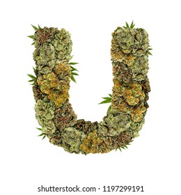 Marijuana Font. Isolated Weed Font. Letter U Symbol Made From Cannabis Buds. Custom Made, Hand Made Ganja Typography. 
Letters Designed From Marijuana Parts.