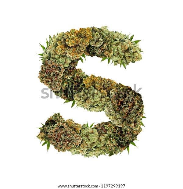Marijuana Font Isolated Weed Font Letter Stock Photo (Edit Now) 1197299197