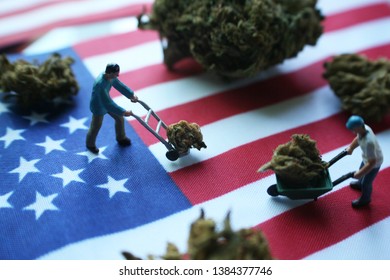 Marijuana Industry In The United States With Men Moving Their Cash Crop  