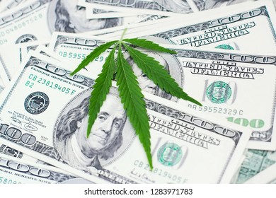 Marijuana leaf close up on background dollar. Cannabis with money. Marijuana business concept