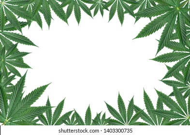 5,793 Marijuana Frame Images, Stock Photos & Vectors | Shutterstock