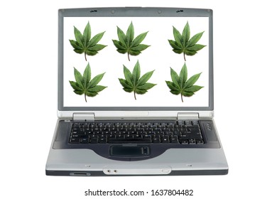 Marijuana Leaf. A Green Cannabis Sativa Leaf On A Computer Screen. Isolated On White. Room For Text. Marijuana And Cannabis Are Now Legal In Many Of The United States And Is Easily Purchased. 