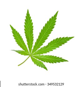 Marijuana Leaf Isolated On White