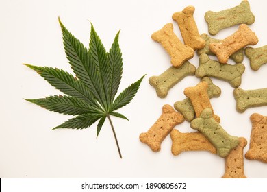 Marijuana Leaf Symbolizing CBD With Dog Treats For Good And Calm Behaviour