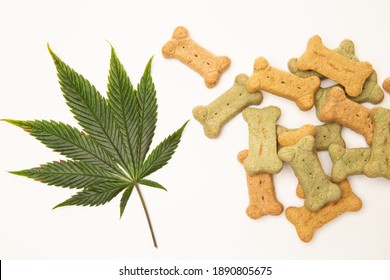 Marijuana Leaf Symbolizing CBD With Dog Treats For Good And Calm Behaviour