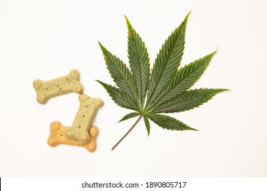 Marijuana Leaf Symbolizing CBD With Dog Treats For Good And Calm Behaviour