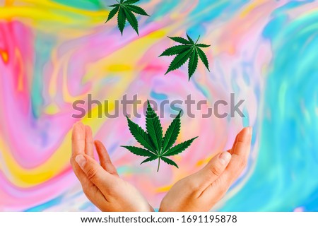  marijuana leaves fly down and fall into women's hands on apsychodelic multicolored blurred background